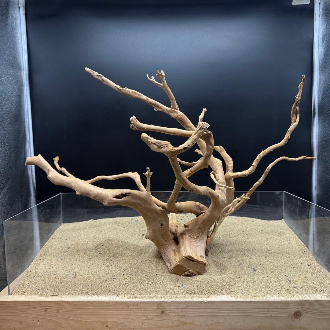 MDW-6991 特大ブランチウッド　流木　枝流木　アクアリウム