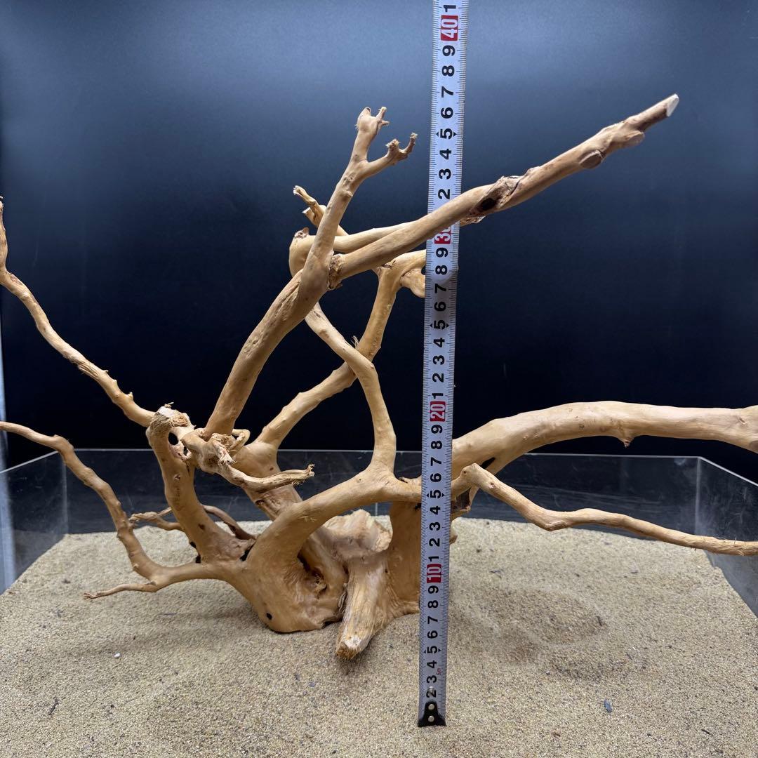 MDW-6991 特大ブランチウッド　流木　枝流木　アクアリウム