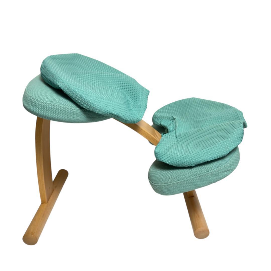 美品　サカモトハウス バランスイージー カバー付き