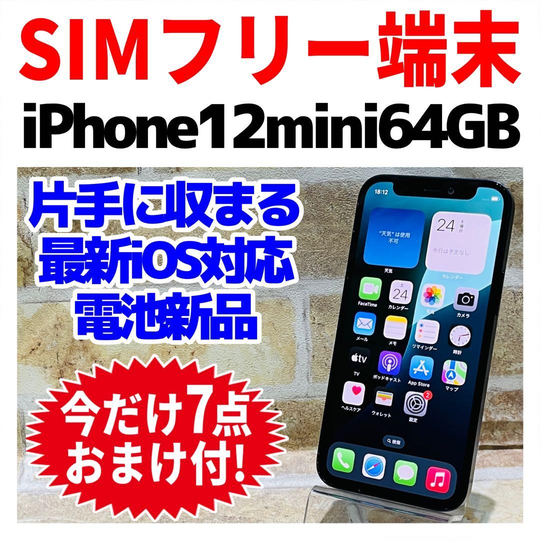 訳あり SIMフリー iPhone12mini 64GB ブラック 新品電池