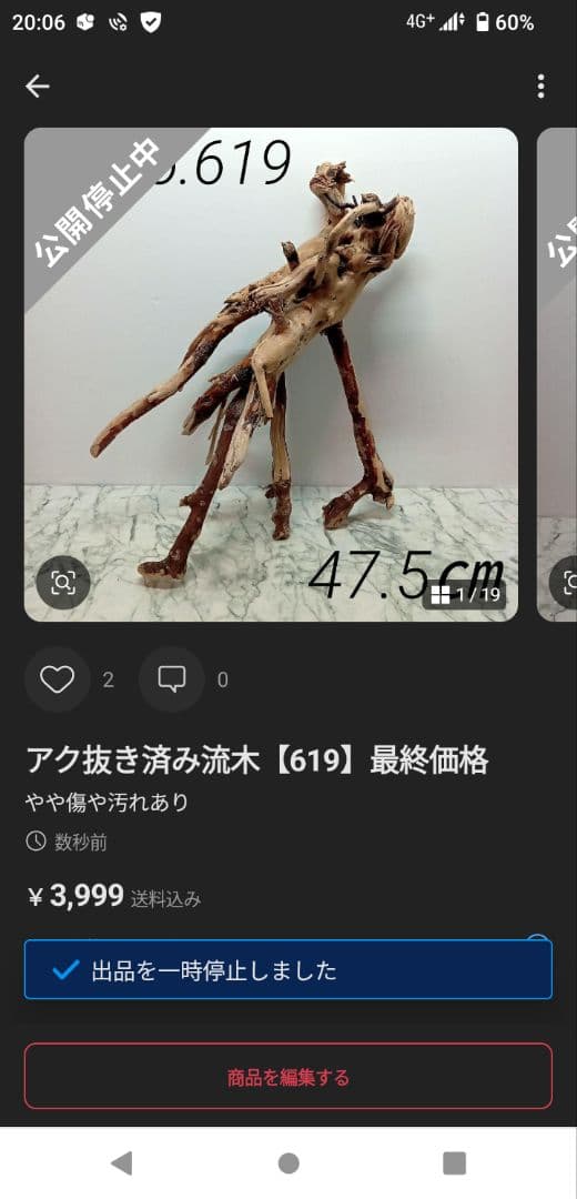 ！専用！アク抜き済み流木【645】セール