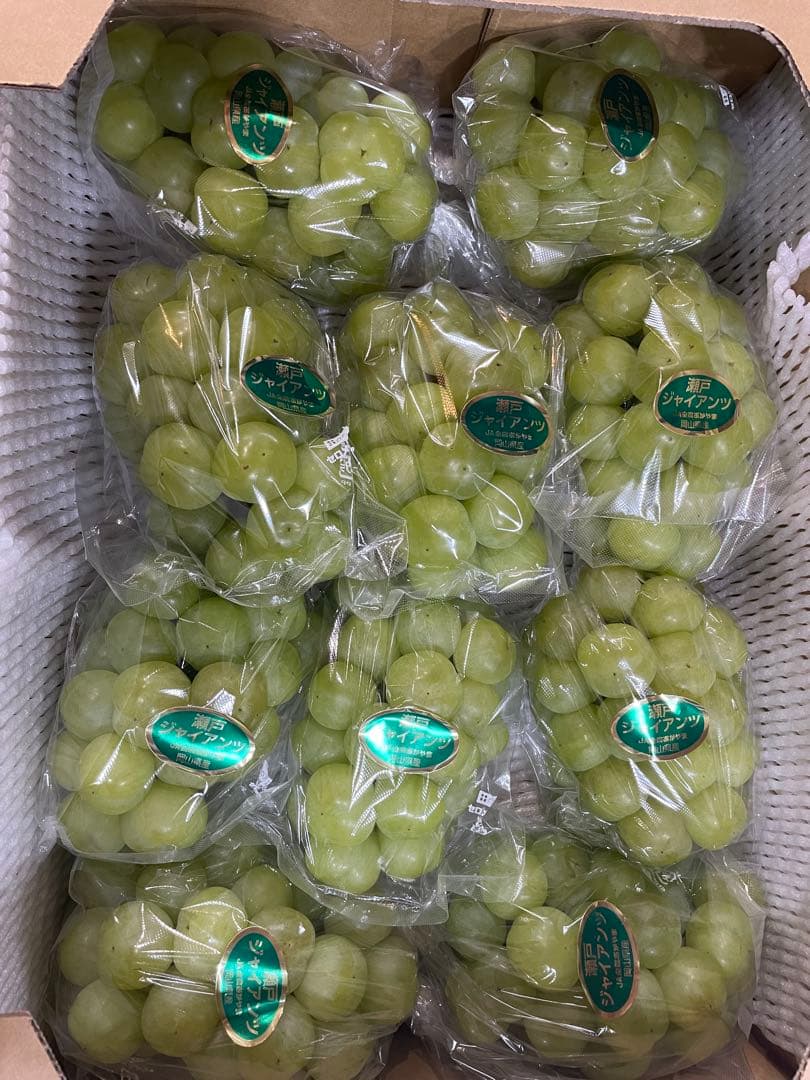 ⑩【岡山県産】瀬戸ジャイアンツ　7〜12房　約5キロ