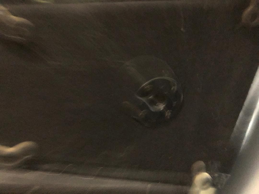 ELECTRO-VOICE T251 フルレンジSRスピーカー 二本セット