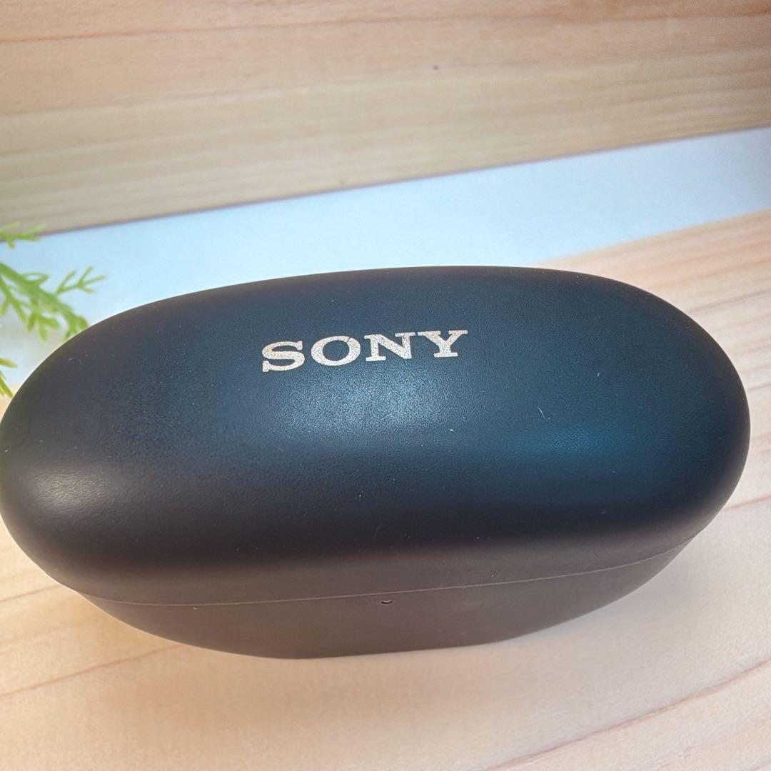 SONY ワイヤレスイヤホン WF-1000XM5 ケースのみ