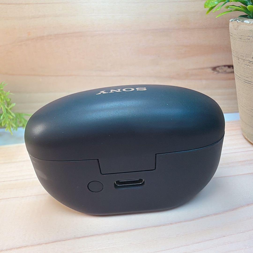 SONY ワイヤレスイヤホン WF-1000XM5 ケースのみ