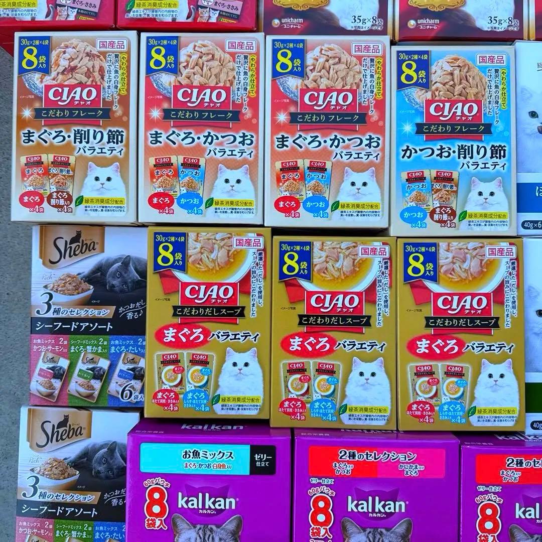 猫B 最終値下げ！