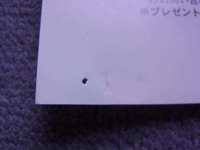 非売品　ポスター　MTG　世界選手権開催記念　スペシャル土地カード　当時物