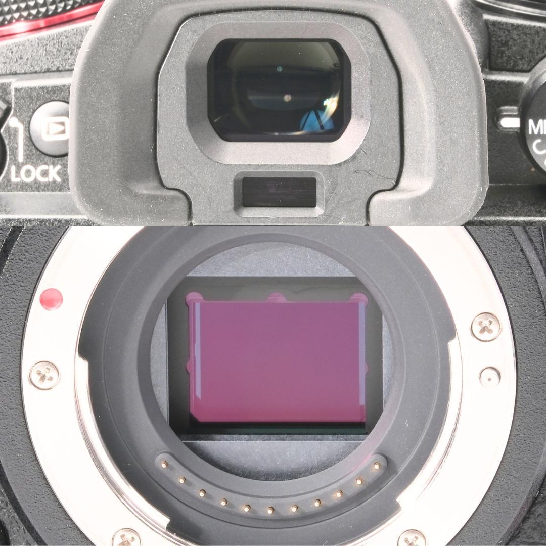 Panasonic LUMIX DC-GH6 レンズキット 文字数制限の為説明欄