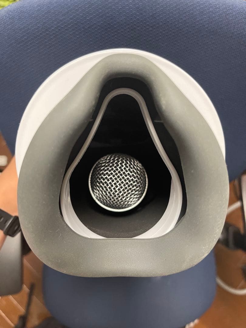 Voicease The Vocal Silencer ヴォイシーズ