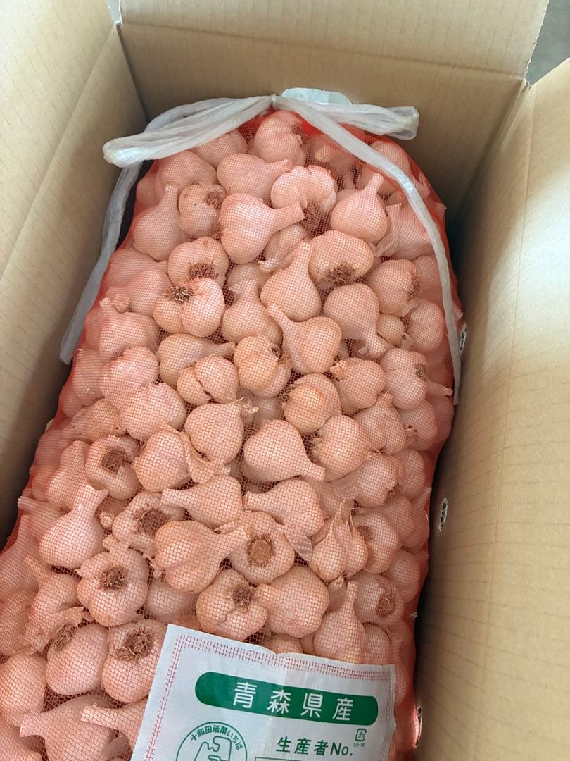 新物　青森県にんにく10Kg 2S