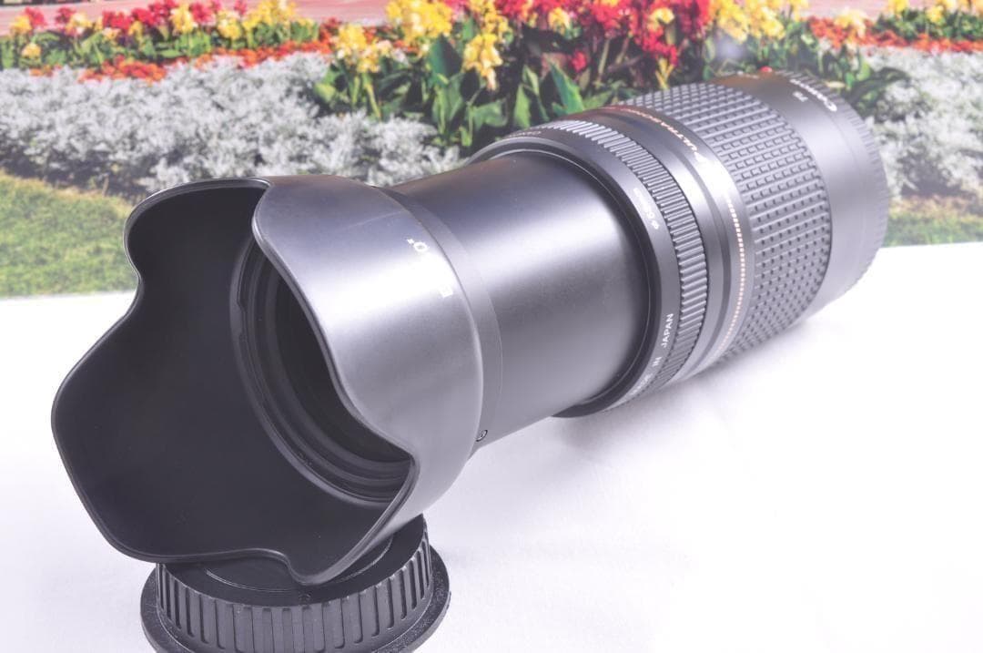 望遠はここから！ Canon キヤノン 望遠レンズ EF75-300mm