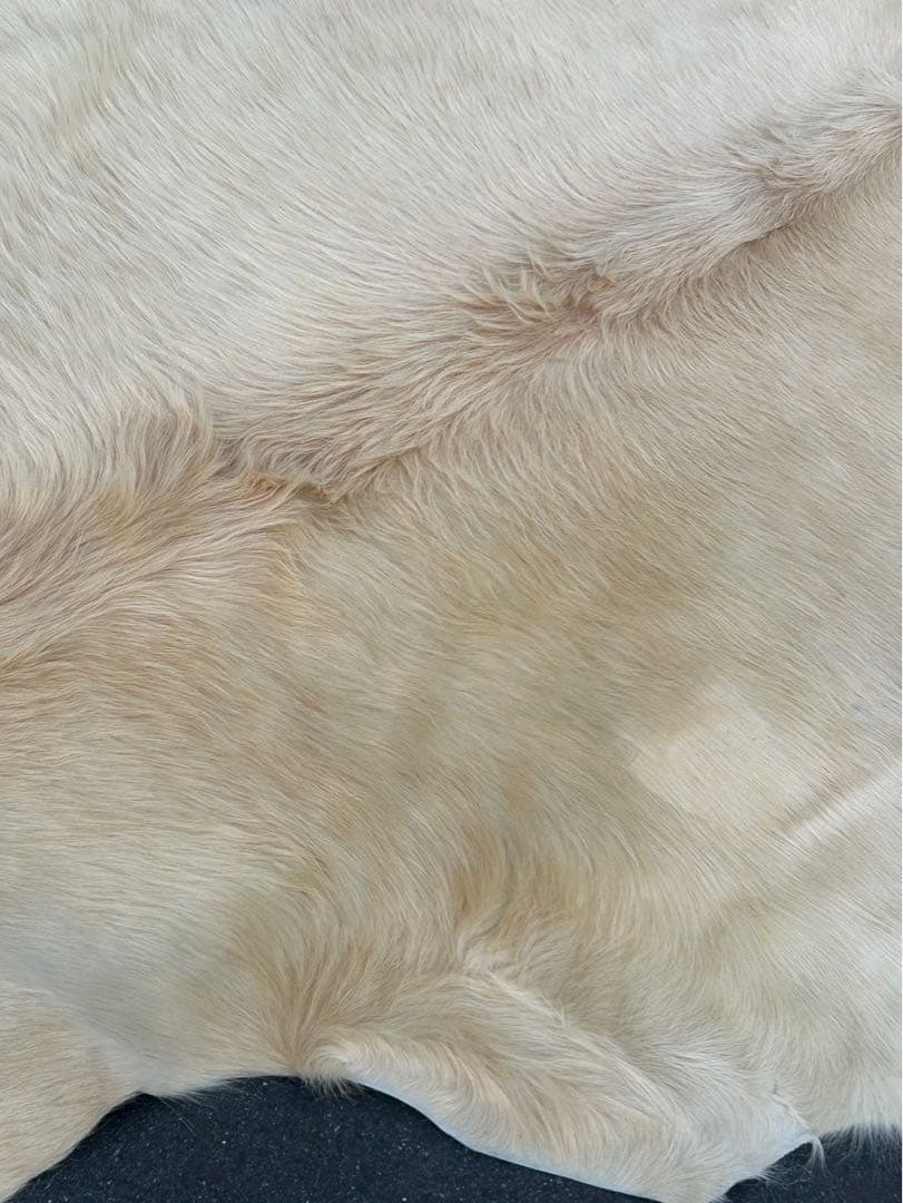 邦*様 ヤングカーフ　ラグ　カーペット　カウラグ　クリーム色　特大　bormes