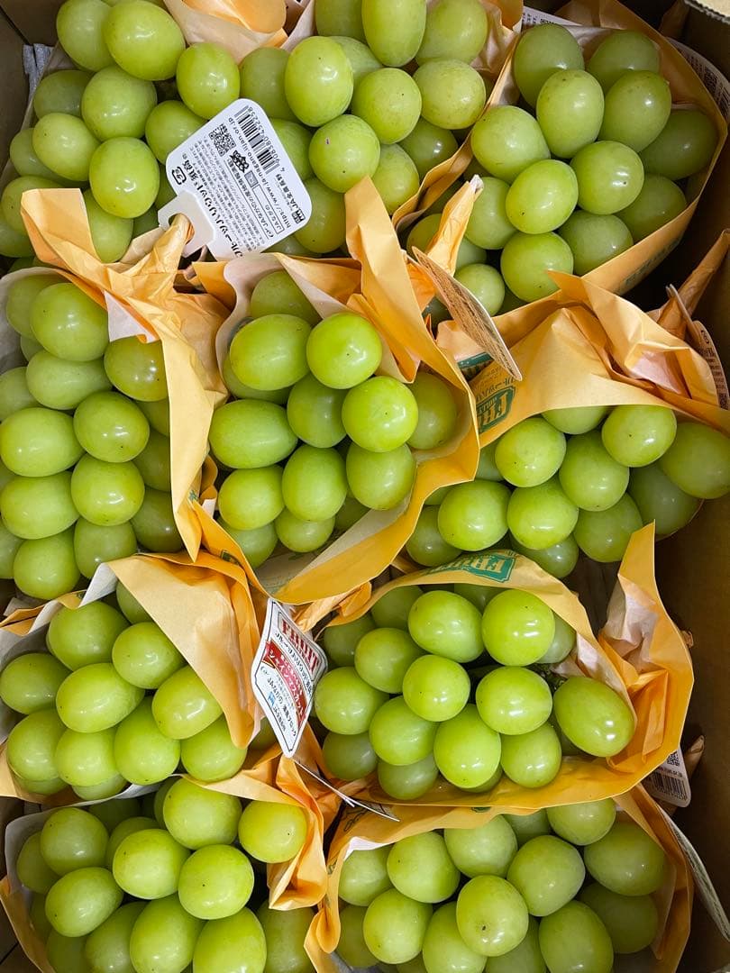 メルカリ限定　シャインマスカット5kg秀6〜11房　高級品質