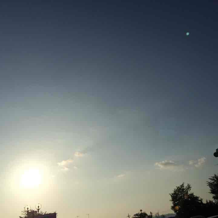 Apple正規品イヤホン！