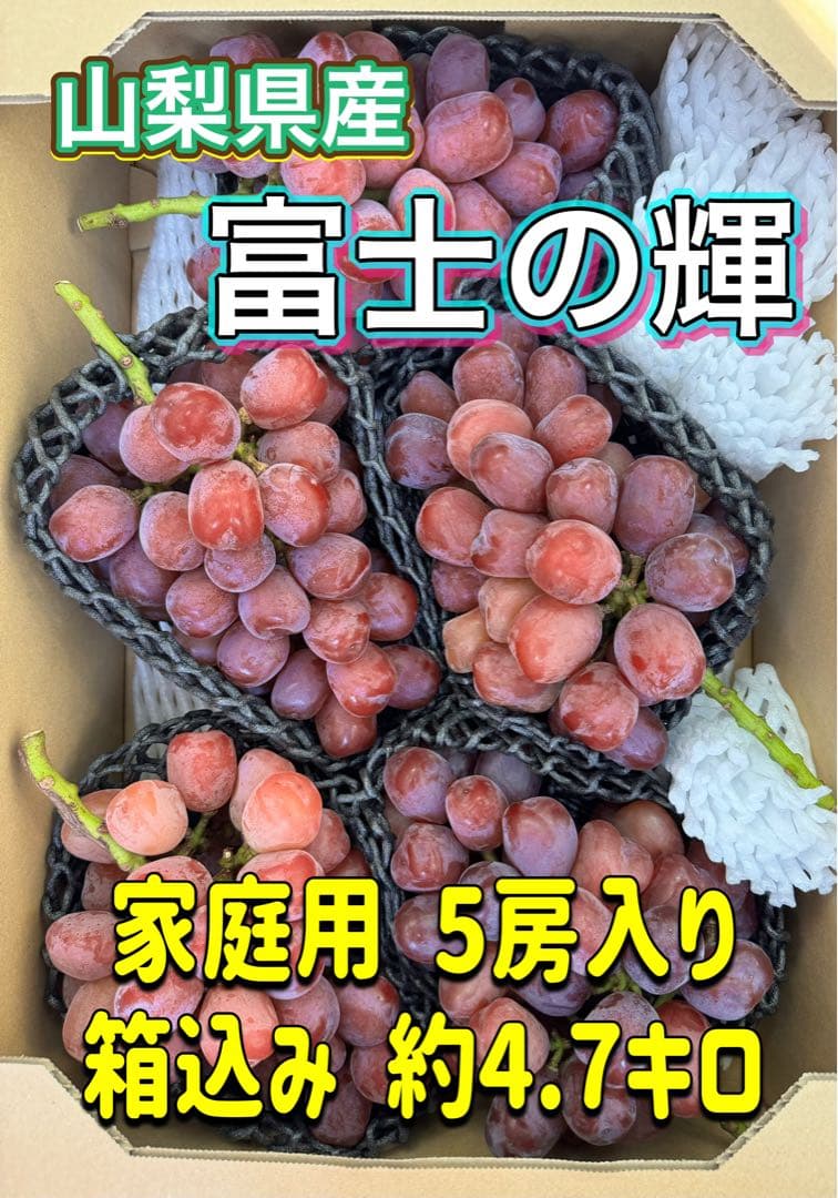 山梨県産ぶどう⭐️富士の輝⭐️5房入り 箱込み約4.7キロ