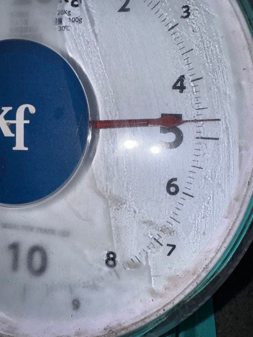 山梨県産ぶどう⭐️富士の輝⭐️5房入り 箱込み約4.7キロ