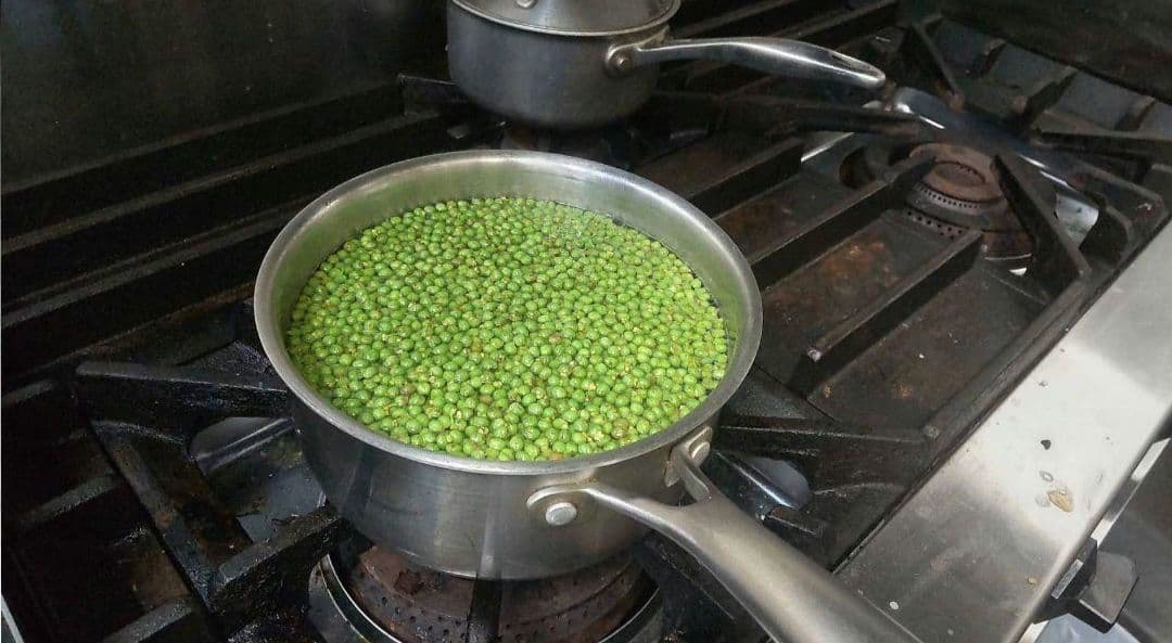 【下処理済】山椒の実　冷凍　300g