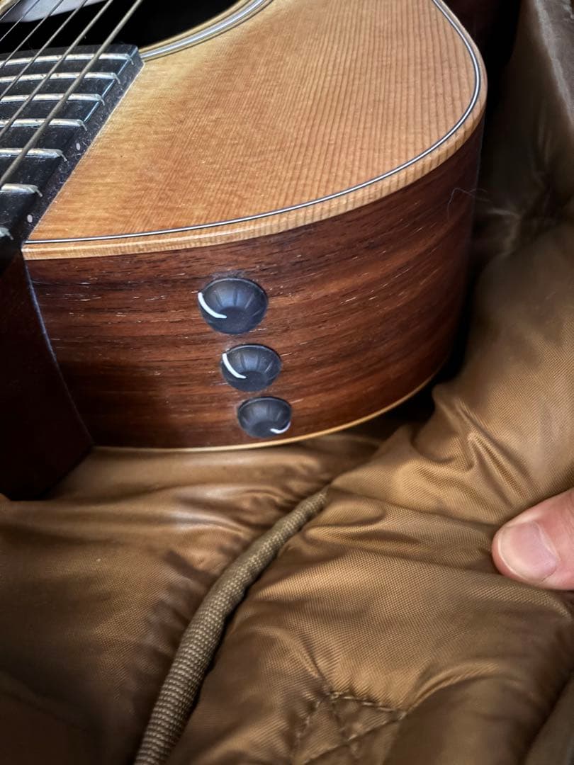 Taylor GS Mini-e RoseWood ES2テイラー