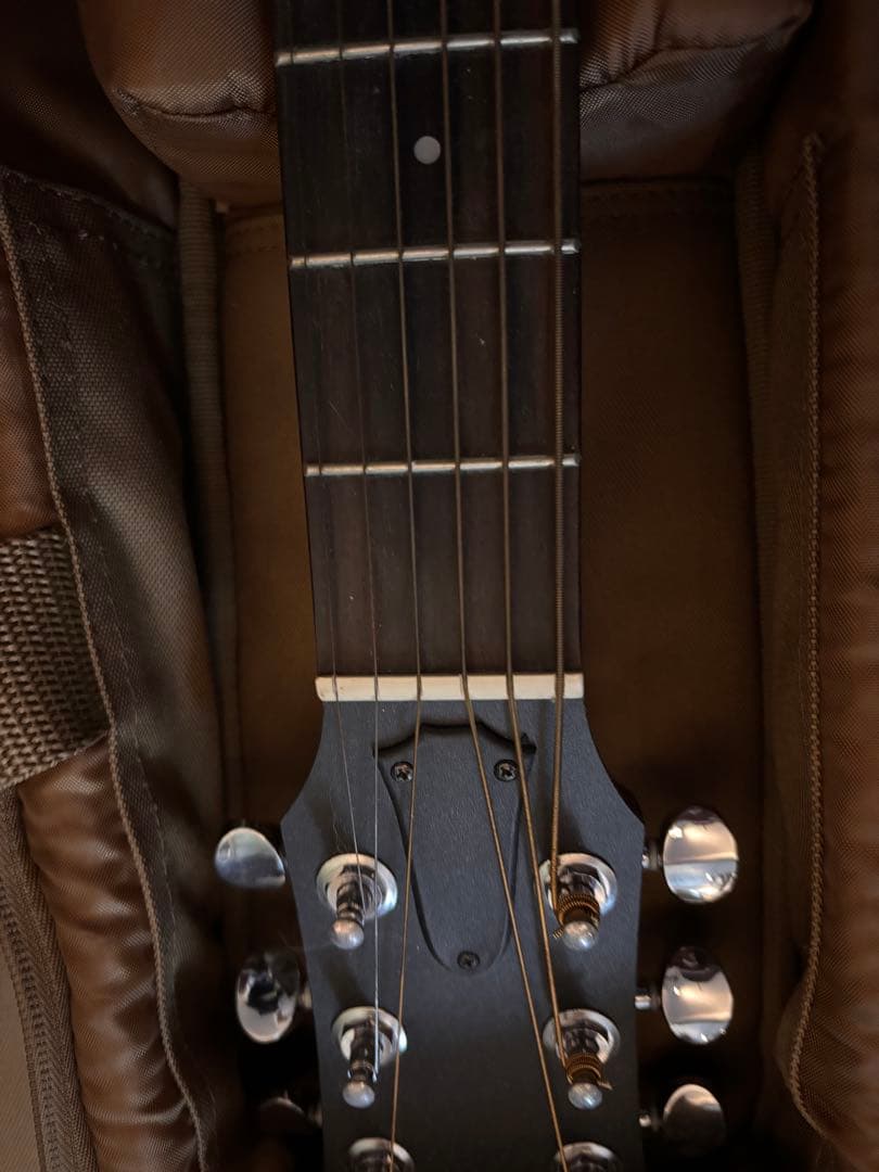 Taylor GS Mini-e RoseWood ES2テイラー