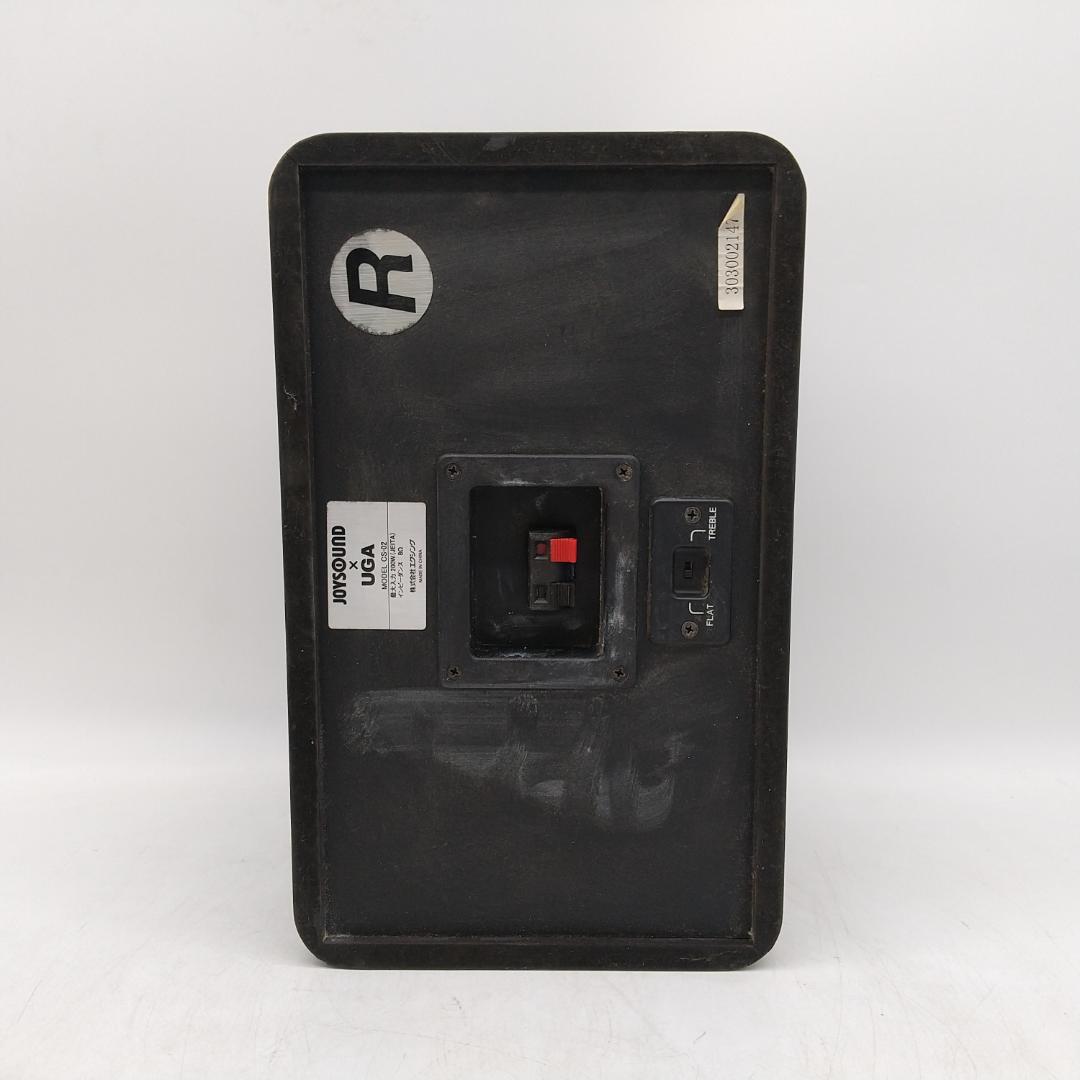 2893番 エクシング JOYSOUND × UGA CS-02 ペアスピーカー