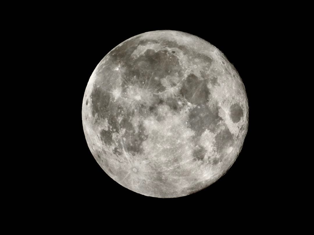 ゆ*ず様 Nikon COOLPIX P1000 デジタルカメラ