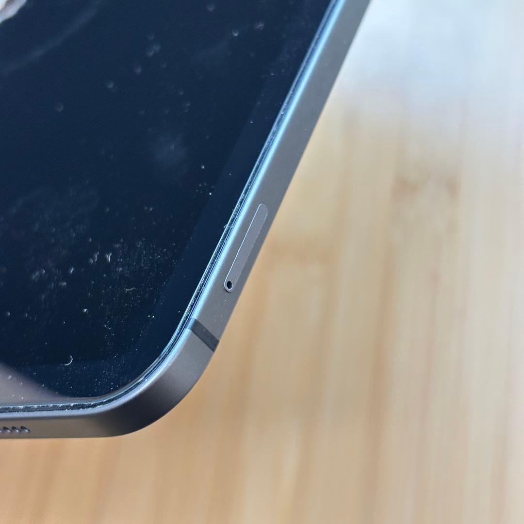 ⚠️週末配送⚠️ 【256GB】ipad PRO 11インチ【Cellular】