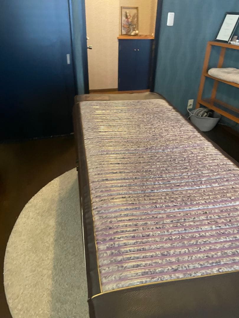 リッチウェイバイオマット　 7000mx 2点セット　シングルマット&ピロー