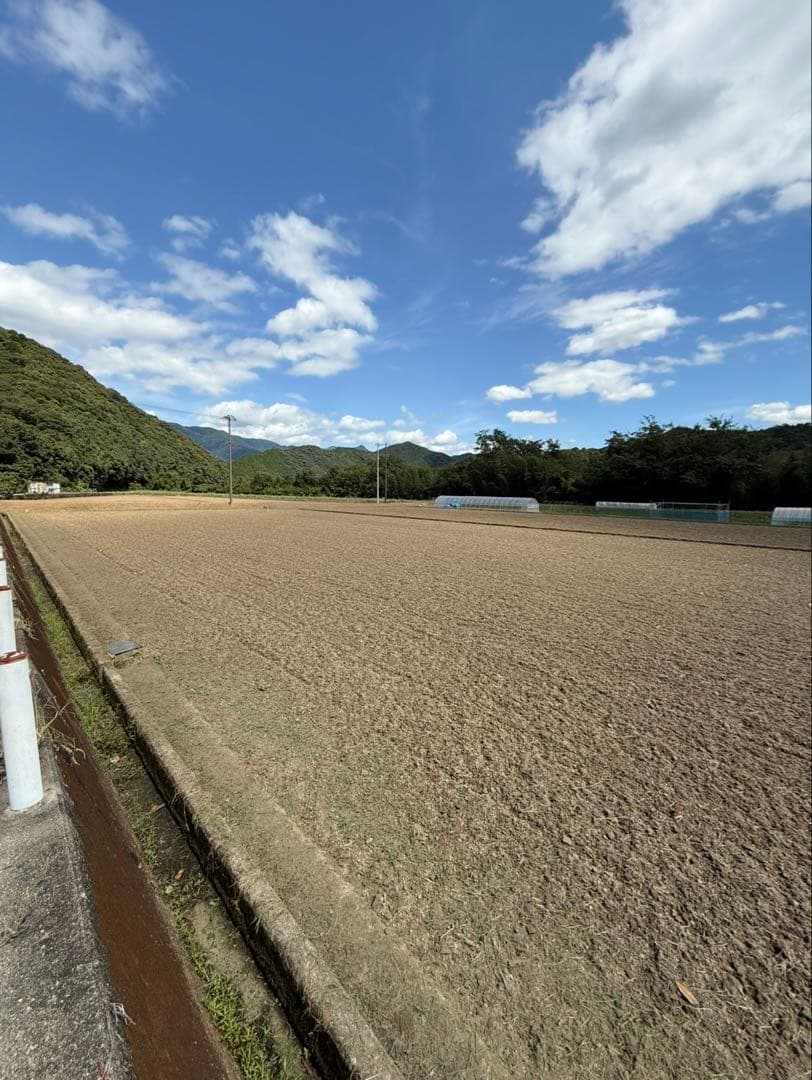 令和7年度愛媛県産コシヒカリ10k 特別栽培米　エコえひめ(一等米)