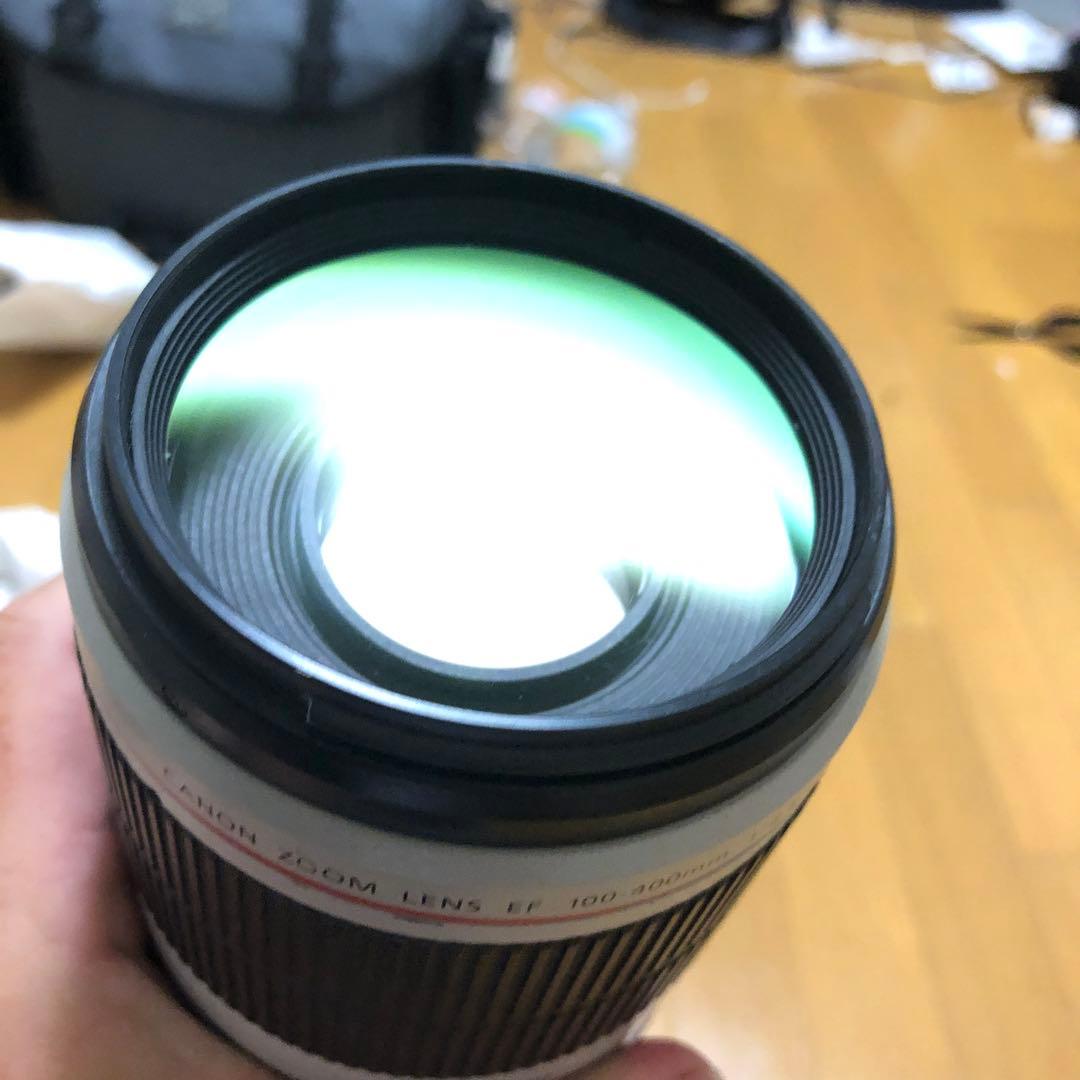 CANON キヤノン EF 100-400mm F4.5-5.6L IS II