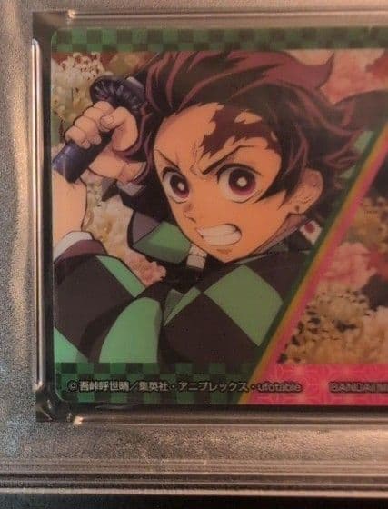 PSA１０ 鬼滅の刃　世界に2枚 タンジロウ＆ネズコ