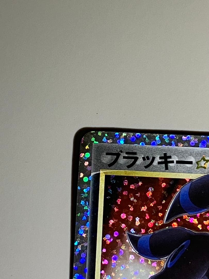 ブラッキー　⭐︎