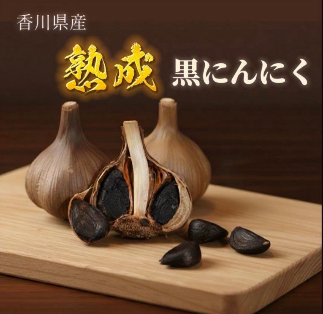 JJ様 ※専用※ Mサイズ5kg