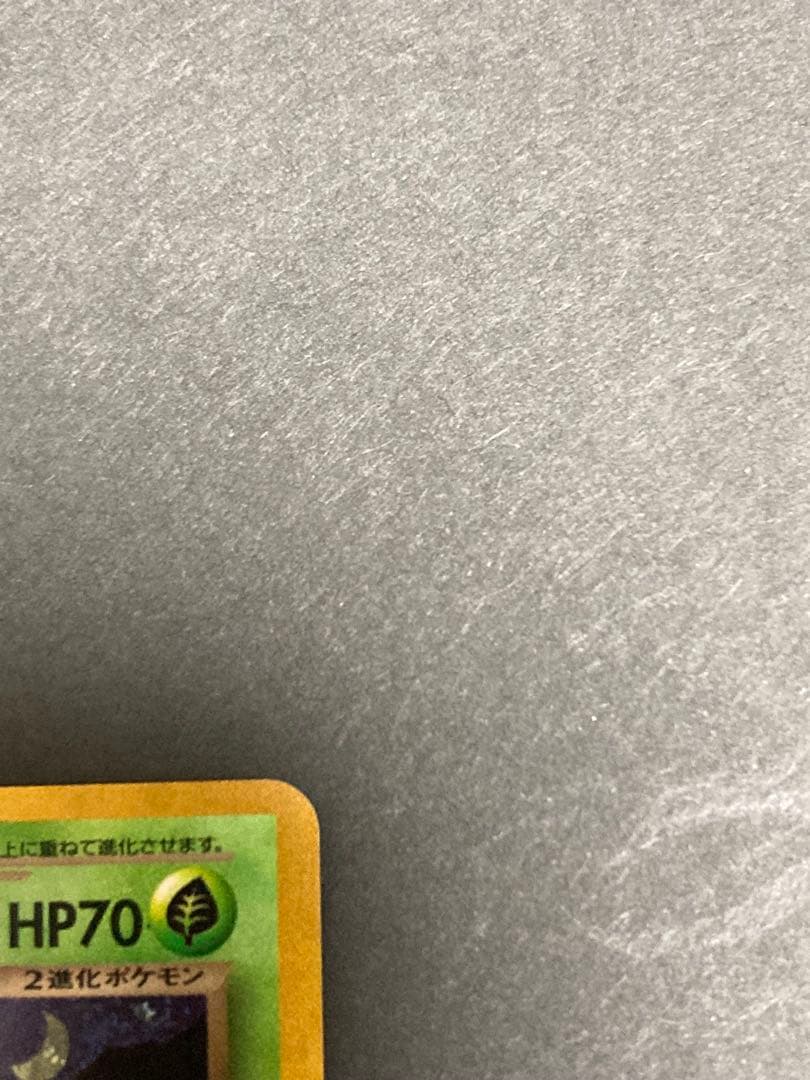 【旧裏】美品　わるいフシギバナ トレーナーズVol.10 おまけカードPROMO