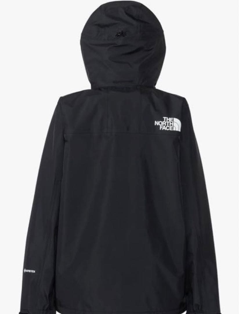 THE NORTH FACE マウンテンレインテックスジャケット レディースM