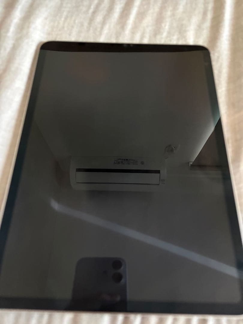 Apple iPad Pro 第4世代 256GB シルバー 本体