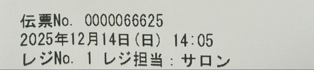 KOIZUMI ProStage KPD-T950/X1 ドライヤー
