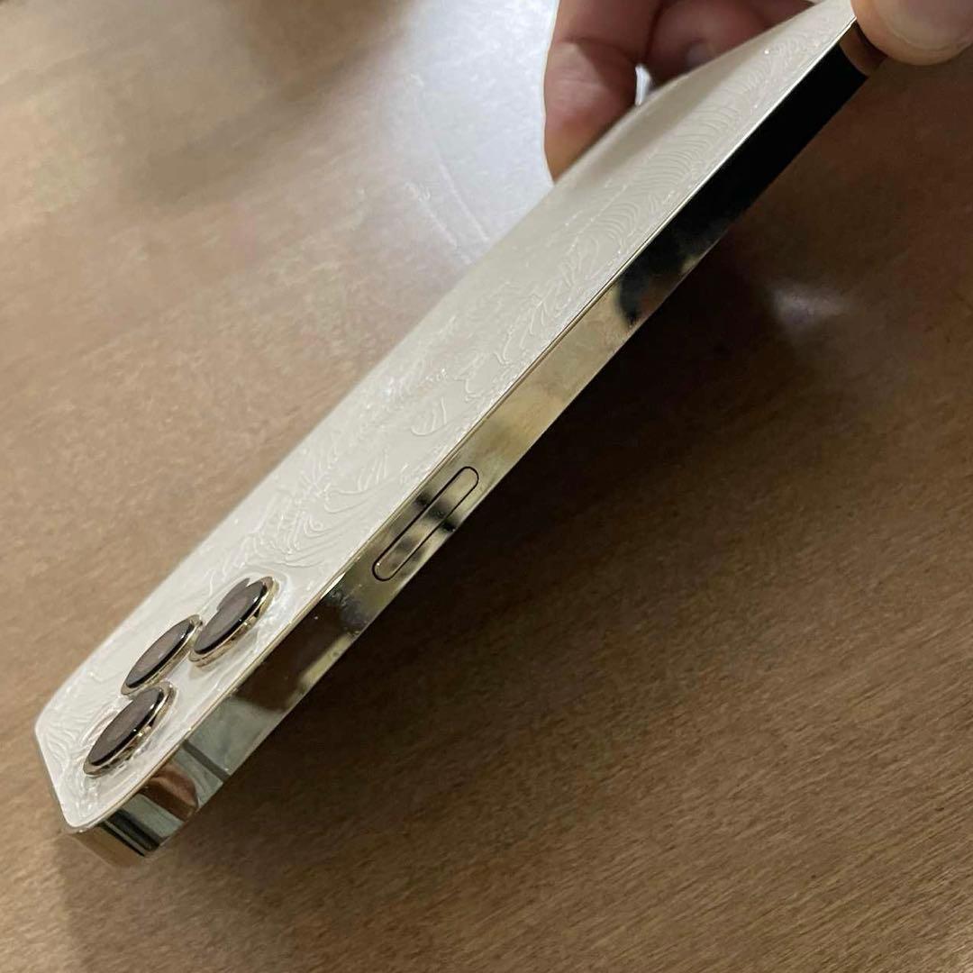 背面ガラスのみ破損♢Apple iPhone 12 Pro Max 512GB