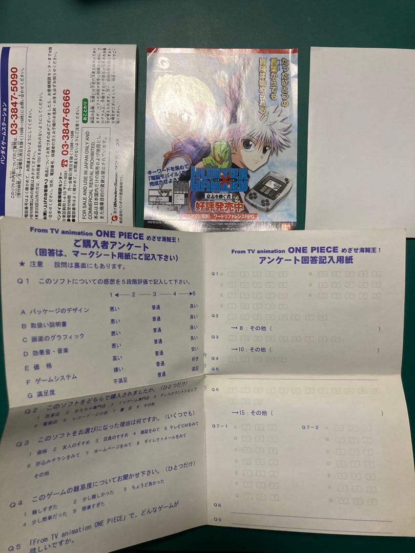 ワンダースワン ワンピース　めざせ海賊王！