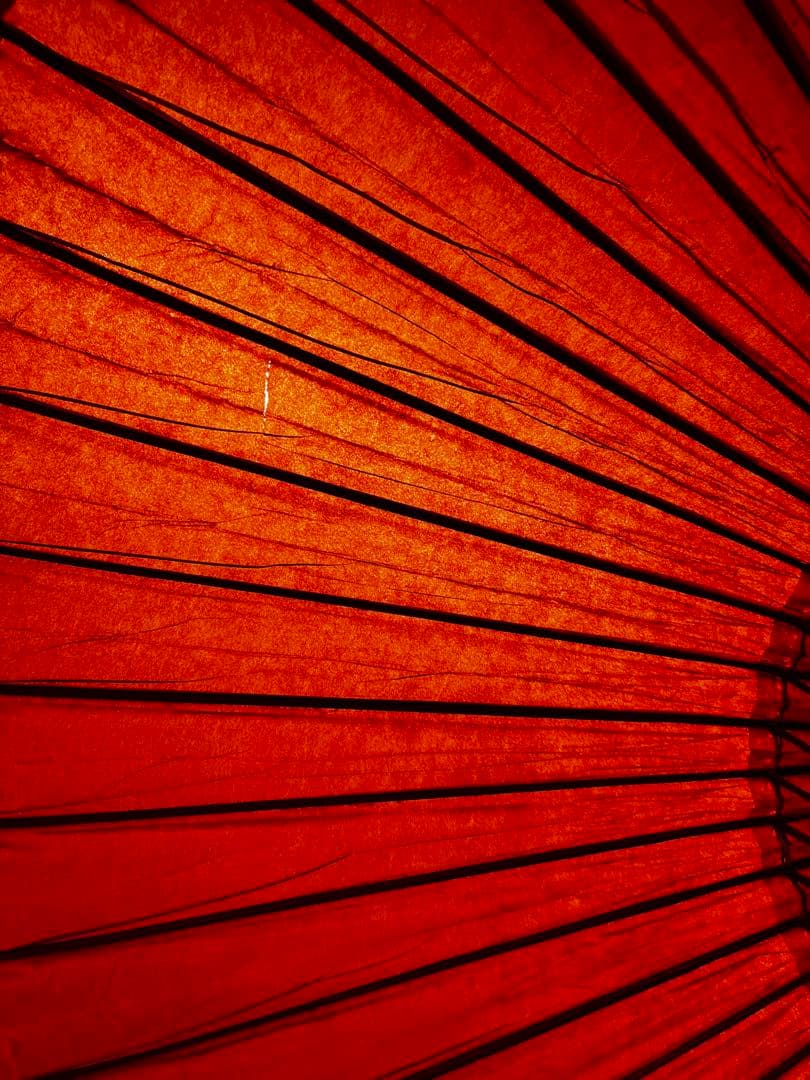 タナカ様⭐︎京都辻倉　和傘