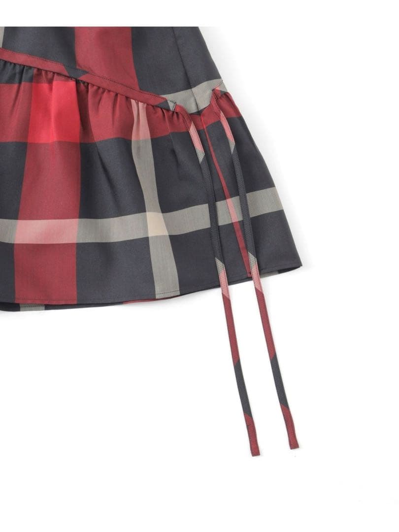 コンパクトクリアーポンチクレストブリッジチェックティアードカットソー