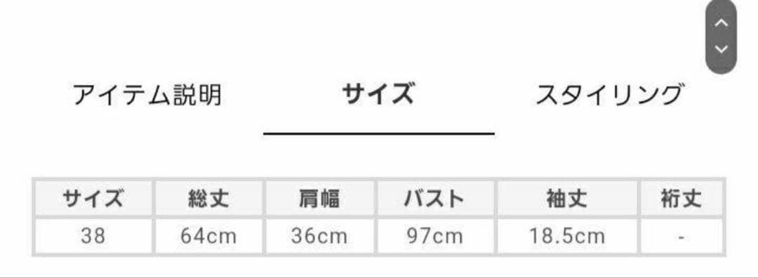 コンパクトクリアーポンチクレストブリッジチェックティアードカットソー