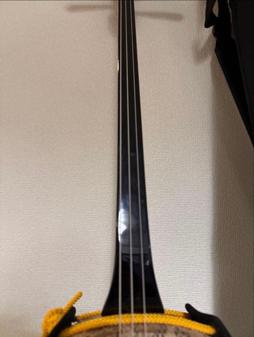 三線（蛇皮＋人工皮）、ケース付き