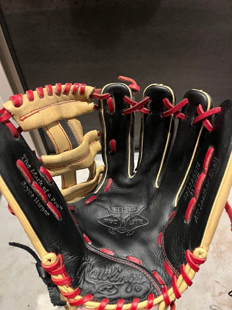 Rawlings グローブ オールラウンド 12インチ