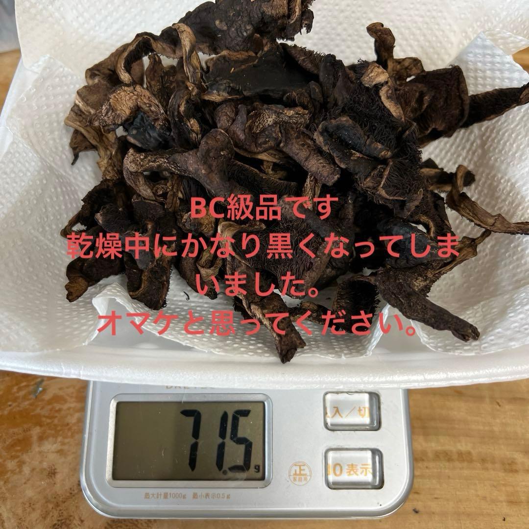 乾燥香茸　概ねA等級　300g以上　オマケ付き