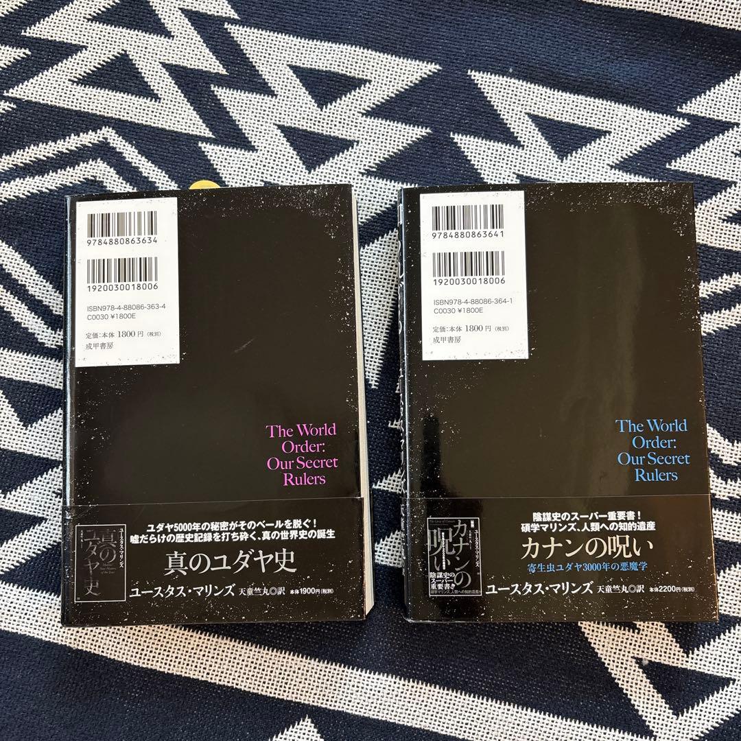 知られざる世界権力の仕組み 上、下セット