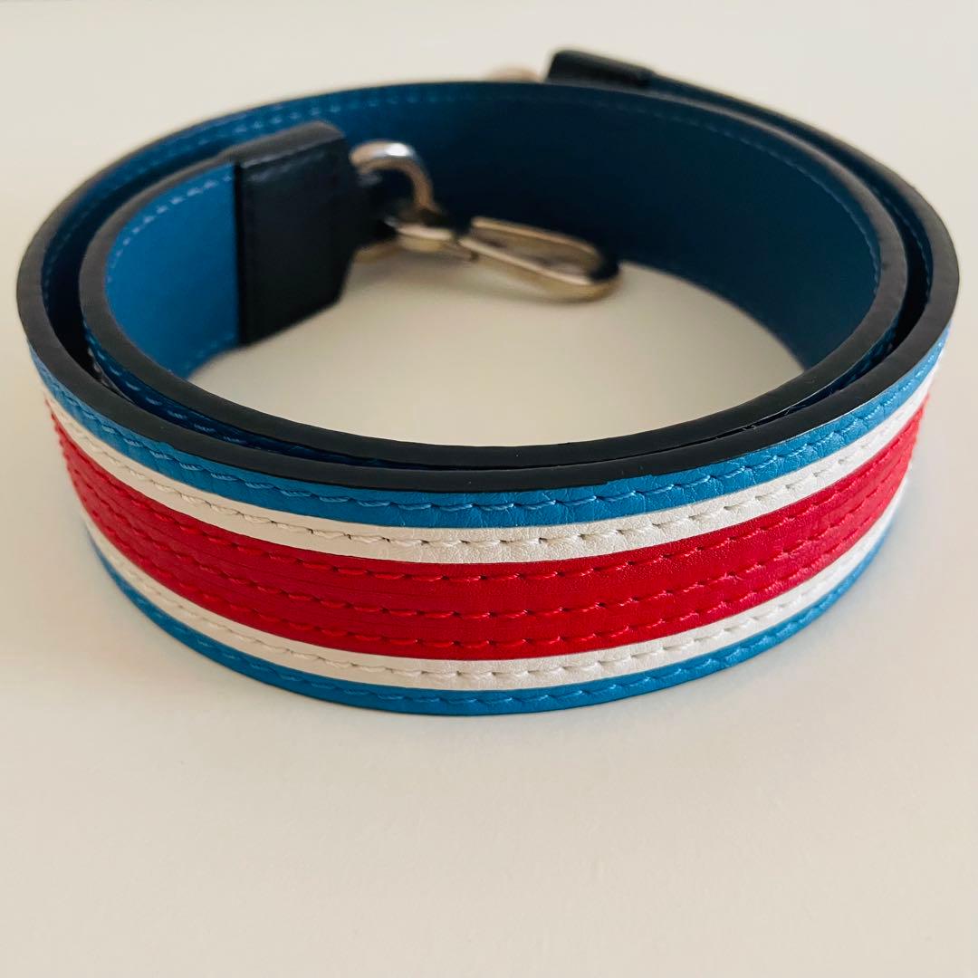 【期間限定値下】 LOEWEロエベ ショルダーストラップ バックストラップ