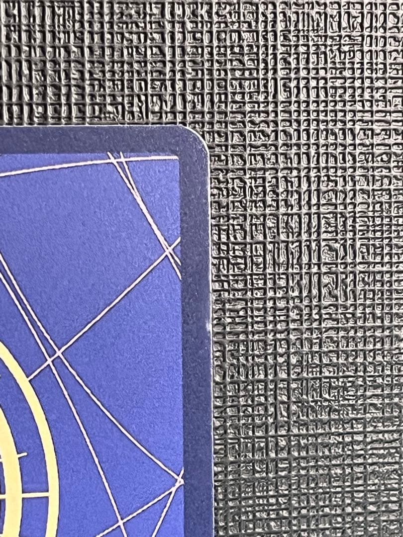 コアラ sp EB03-042