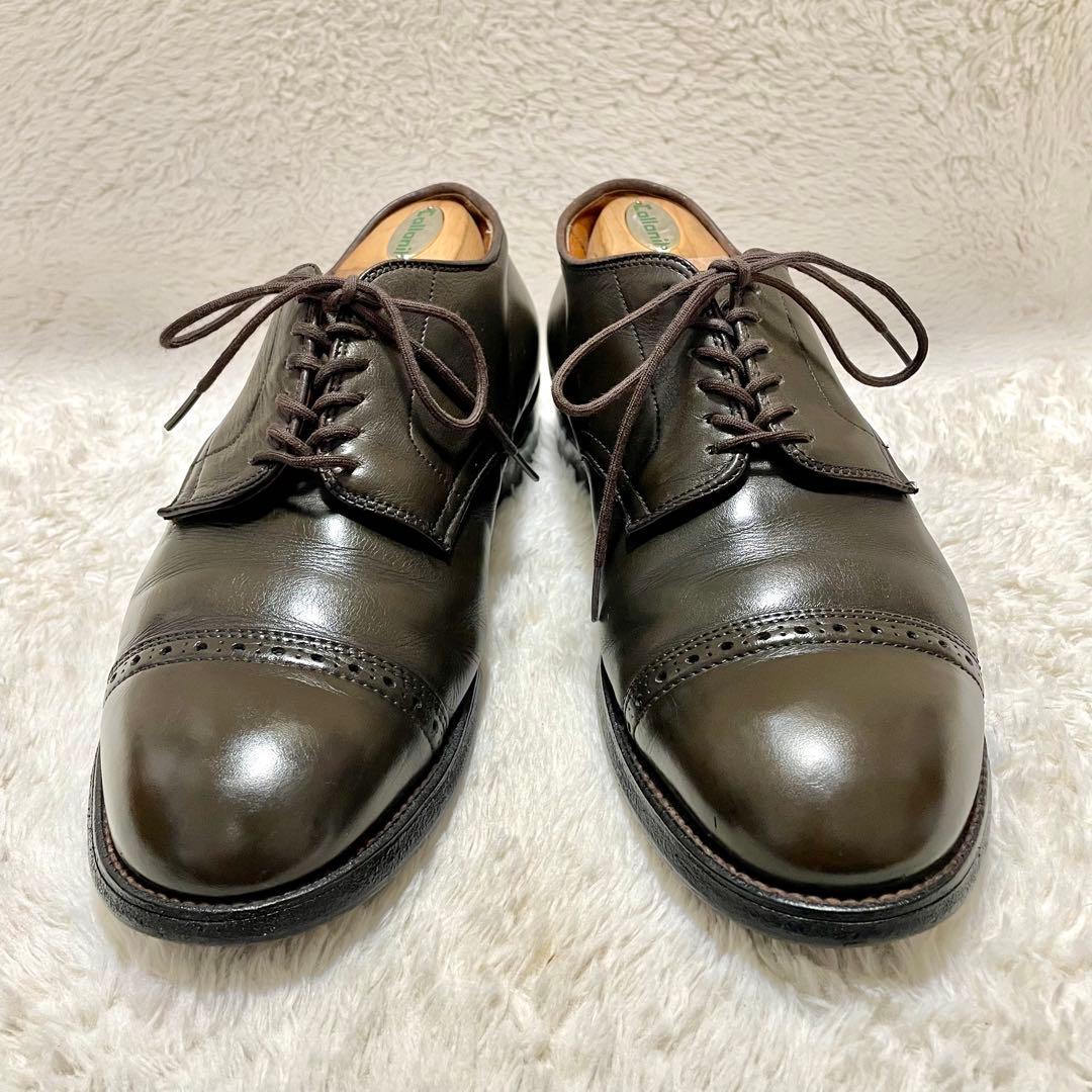 希少 ALDEN オールデン キャップトゥ 559917 カーフ ダークブラウン