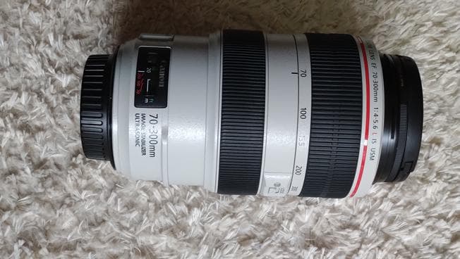 レンズ(ズーム) Canon EF70-300mm f/4.5-5.6 IS USM