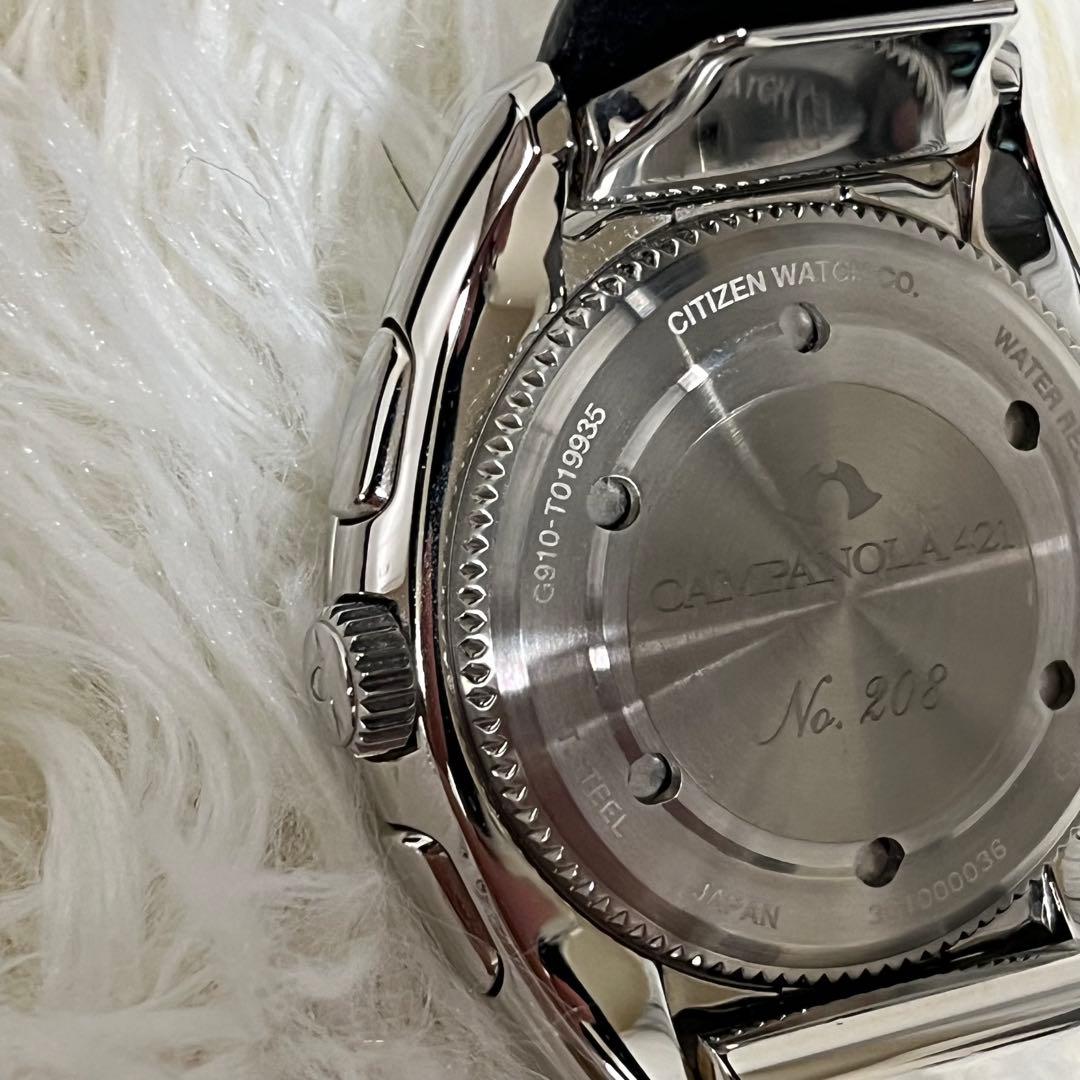 【ほぼ未使用品】カンパノラ 黒橡（くろつるばみ）